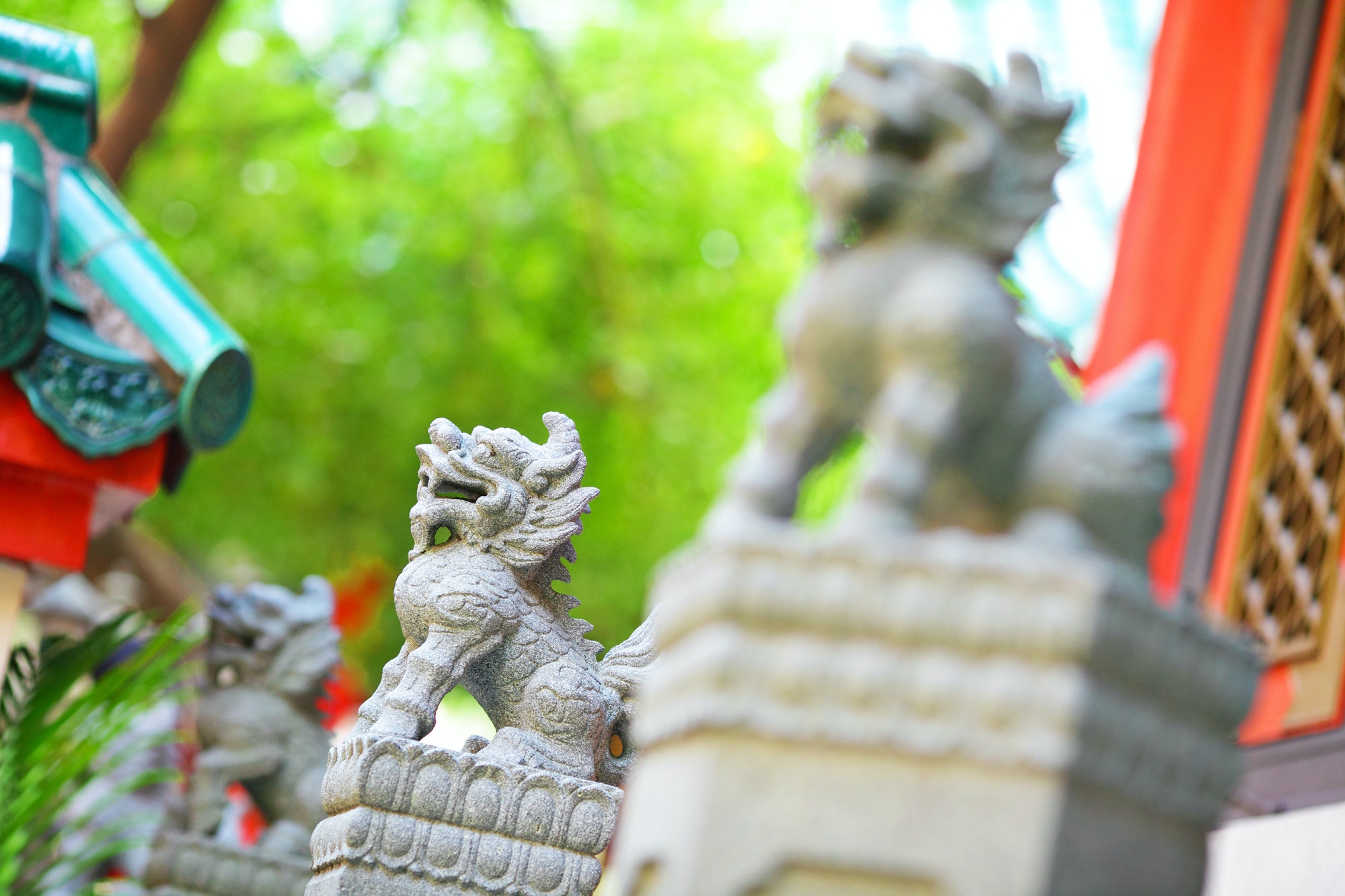Lion statue in chinese temple