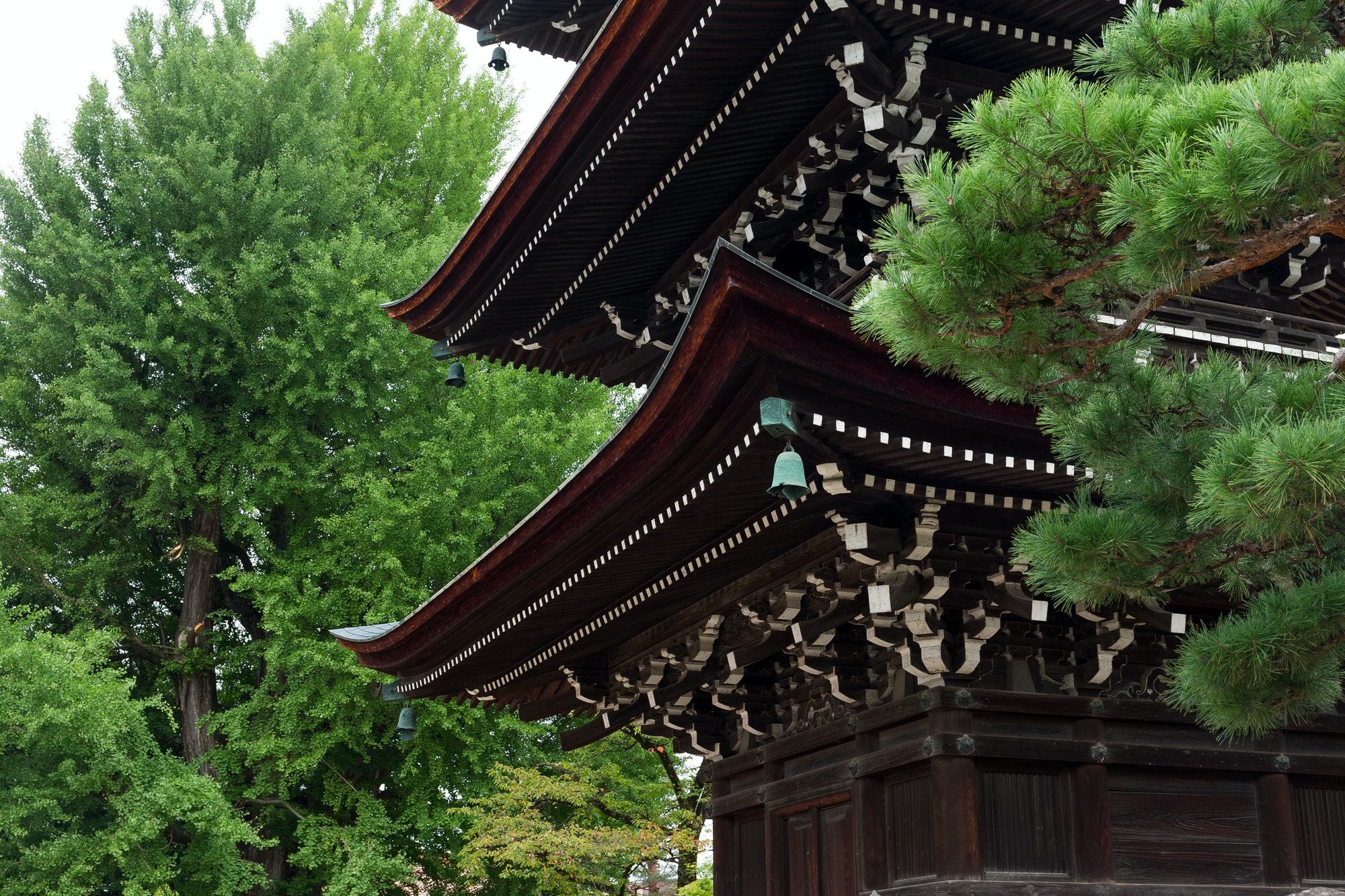 Traditional japanese temple