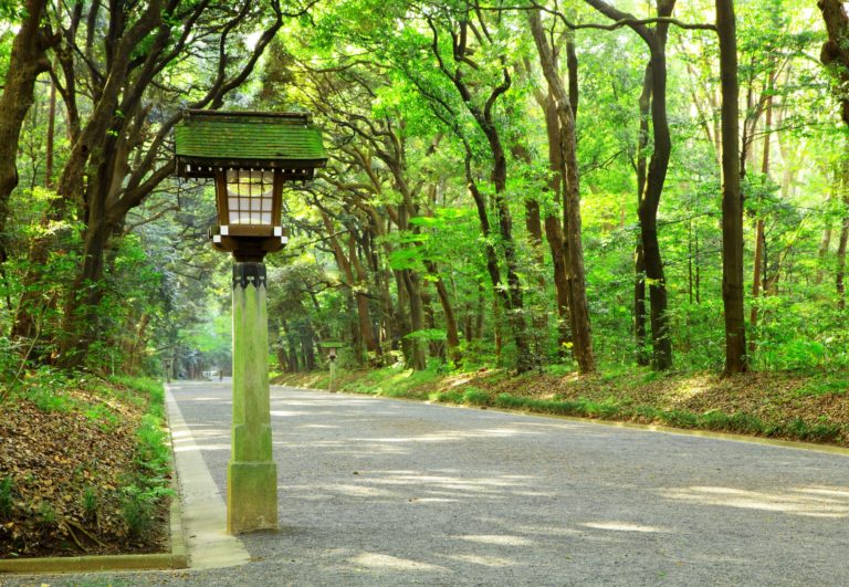 Footpath in Japanese garden
